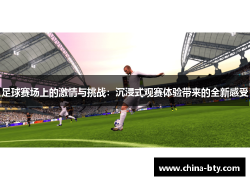 足球赛场上的激情与挑战：沉浸式观赛体验带来的全新感受