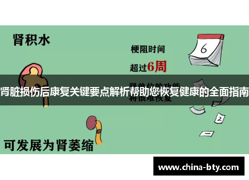 肾脏损伤后康复关键要点解析帮助您恢复健康的全面指南