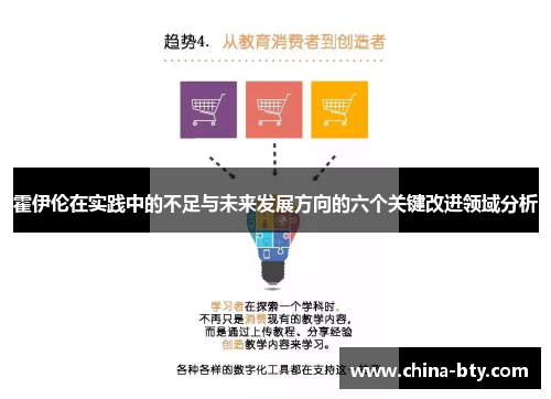 霍伊伦在实践中的不足与未来发展方向的六个关键改进领域分析