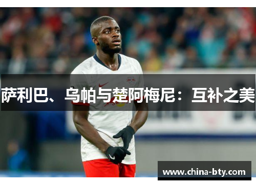 萨利巴、乌帕与楚阿梅尼：互补之美