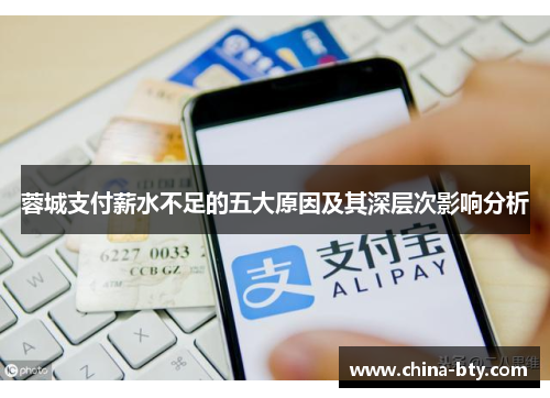 蓉城支付薪水不足的五大原因及其深层次影响分析