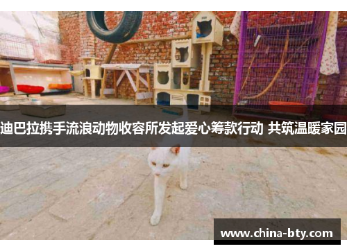 迪巴拉携手流浪动物收容所发起爱心筹款行动 共筑温暖家园