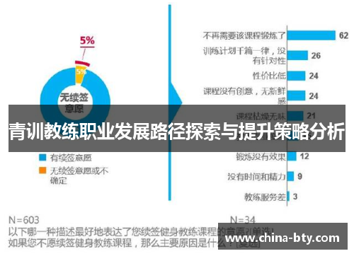 青训教练职业发展路径探索与提升策略分析