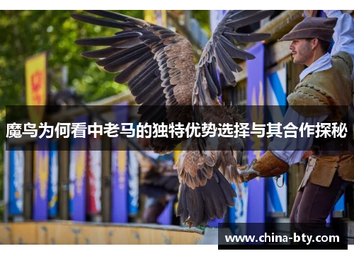 魔鸟为何看中老马的独特优势选择与其合作探秘